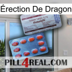 Érection De Dragon 36
